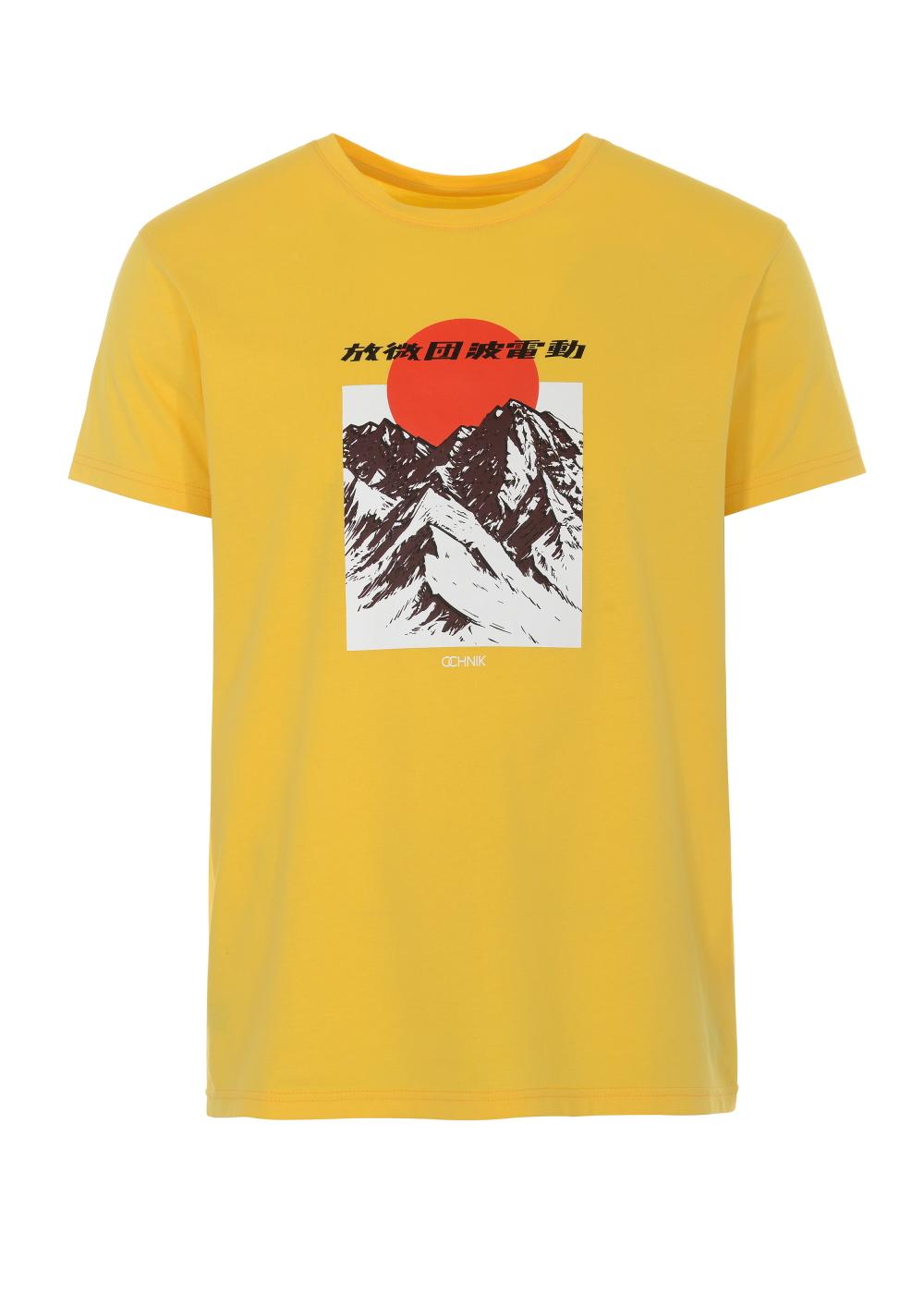 T-shirt męski TSHMT-0057-21(W21)