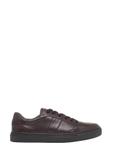 Skórzane sneakersy damskie w kolorze ciemnobrązowym BUTYD-1294-1I(Z26)
