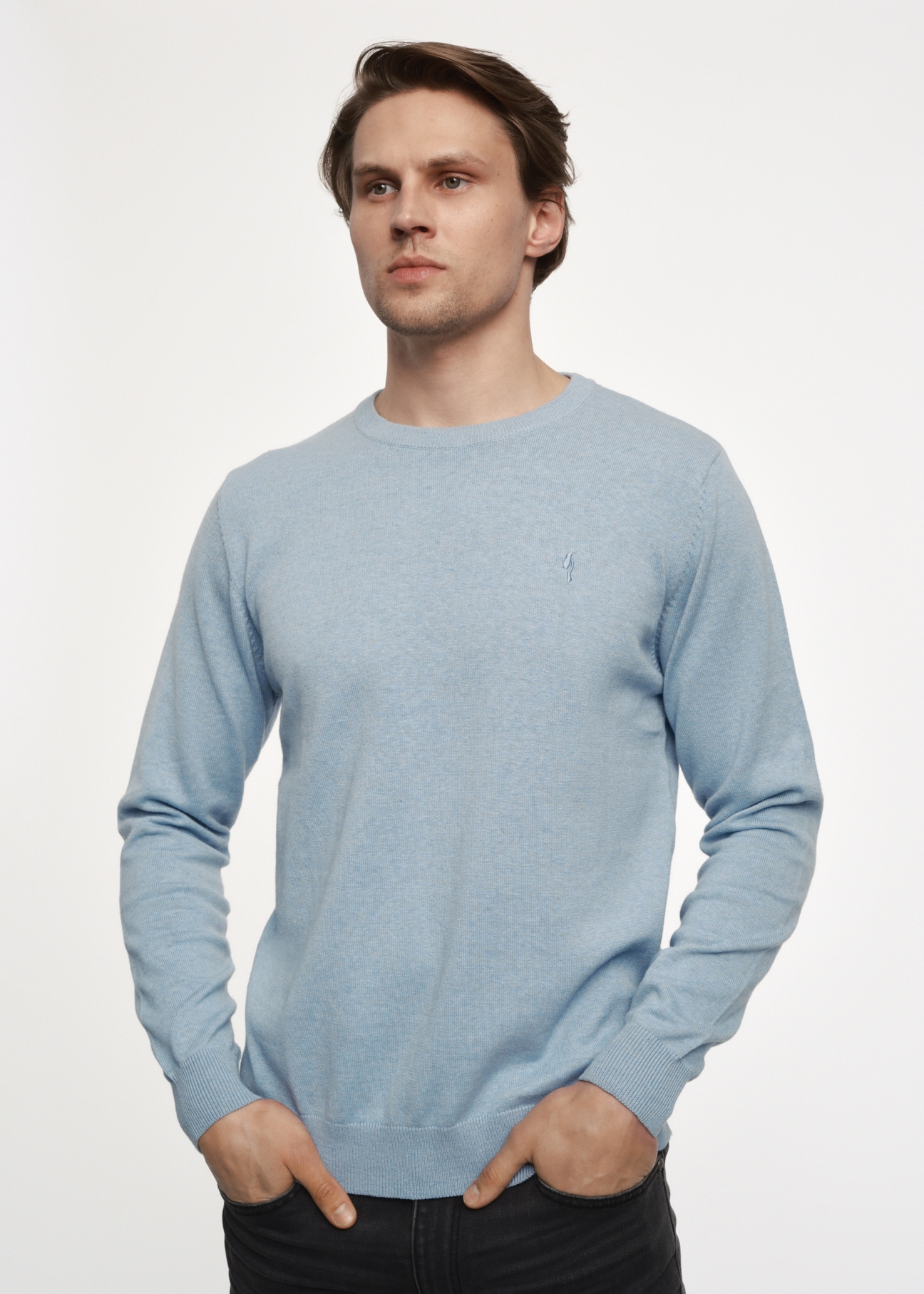 Jasnoniebieski sweter męski z logo SWEMT-0114-60(Z23)-01