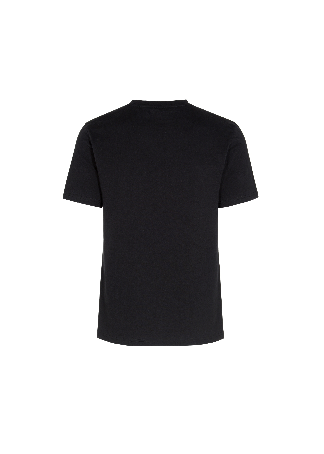 T-shirt męski TSHMT-0073-99(W22)-03