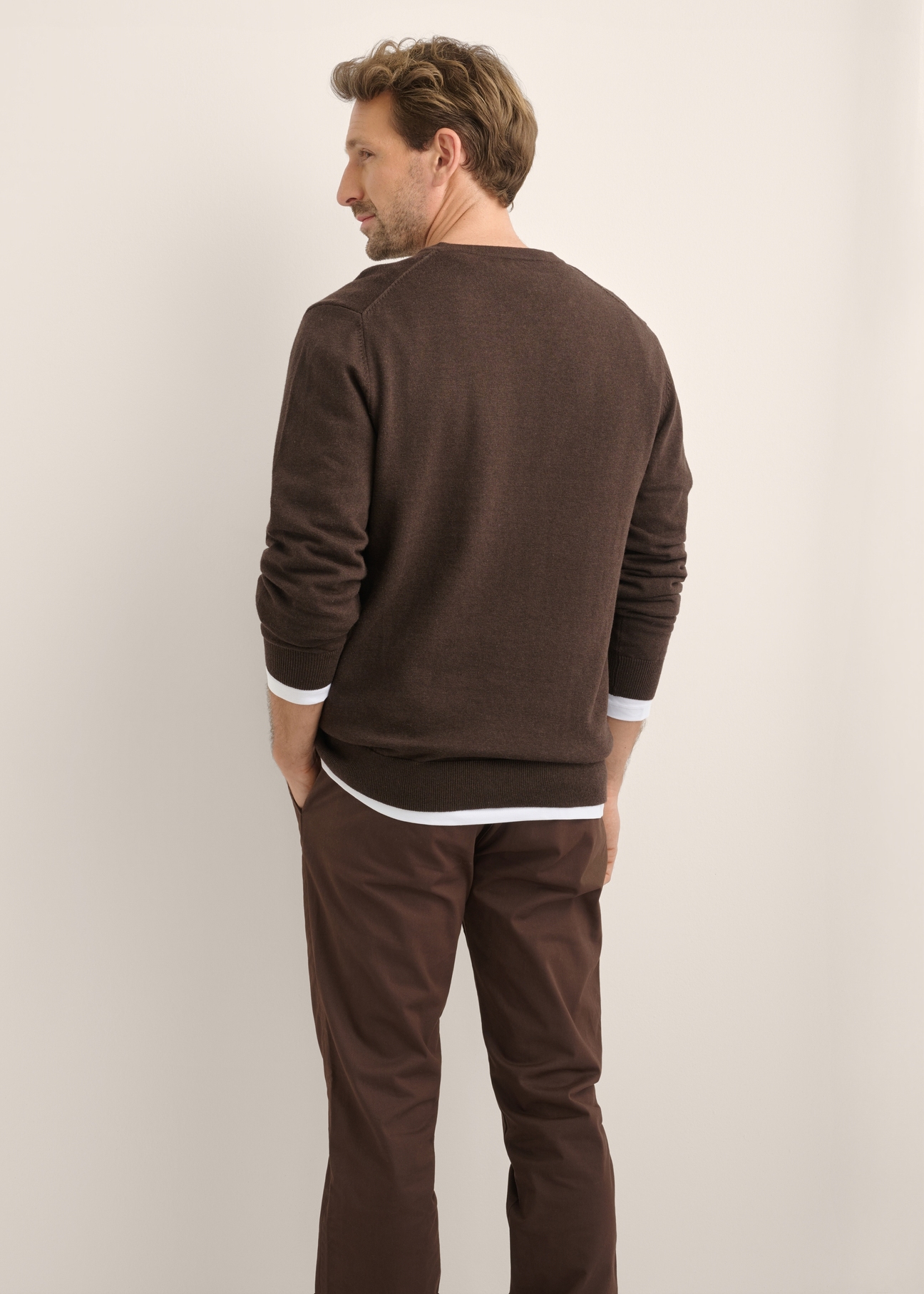 Ciemnobrązowy sweter męski z logo SWEMT-0159A-1I(Z26), widok produktu od tyłu na modelu. Widoczna połowa sylwetki.