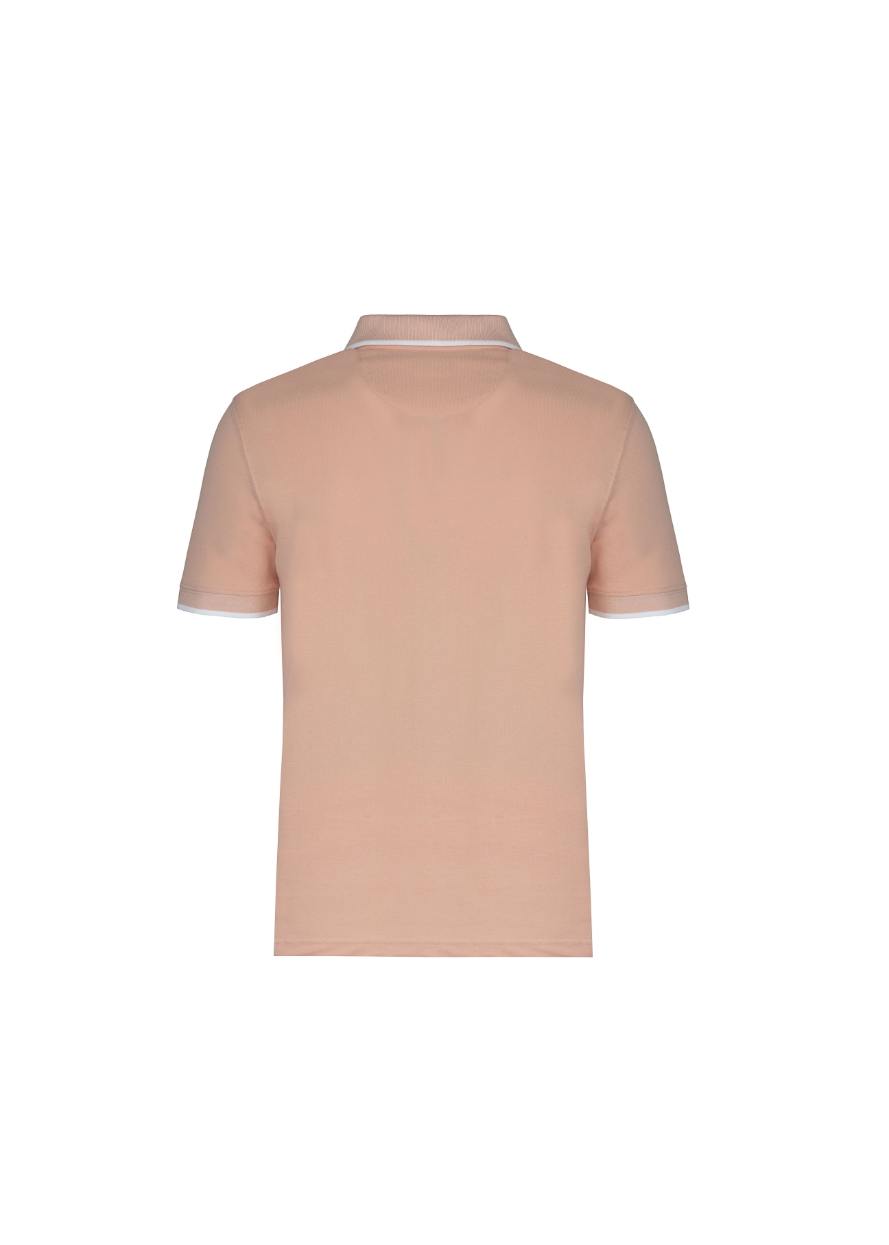 Koszulka polo POLMT-0031-31(W20)-02