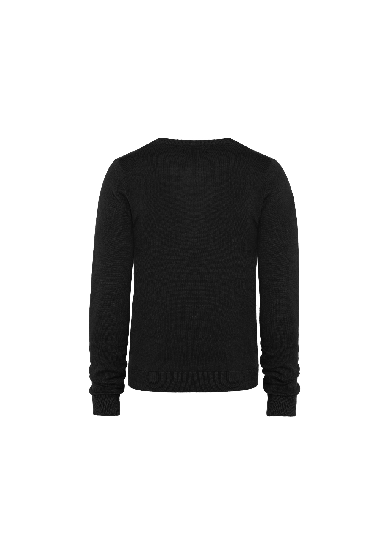 Sweter męski SWEMT-0081-99(W21)-02