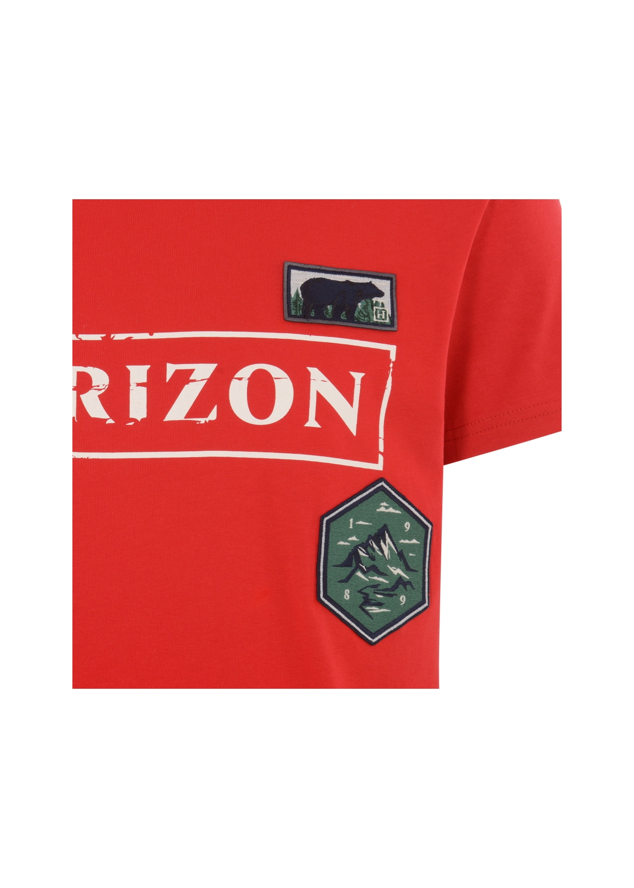 T-shirt męski TSHMT-0056-42(W21)-04