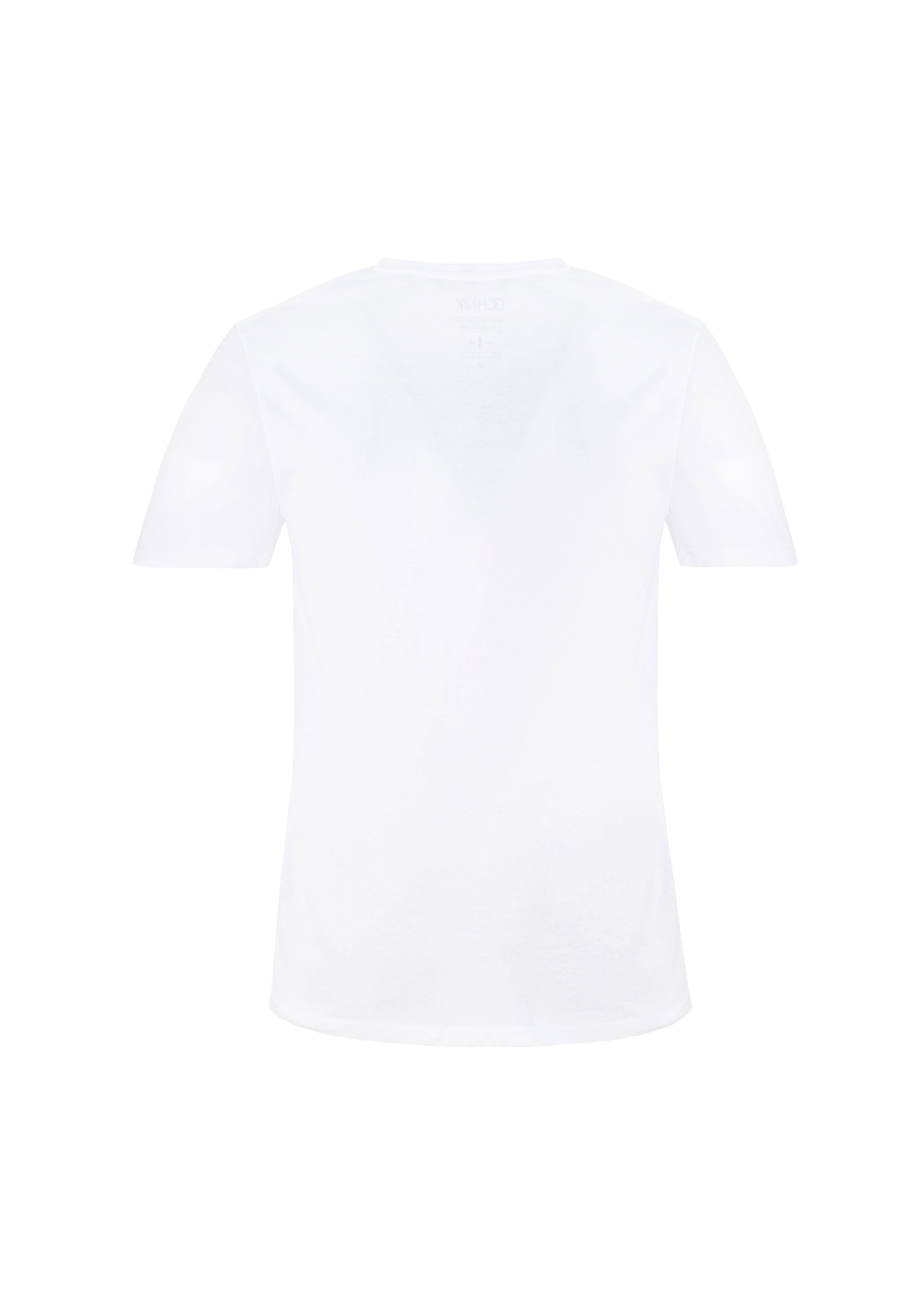 T-shirt męski TSHMT-0052-11(W21)-03