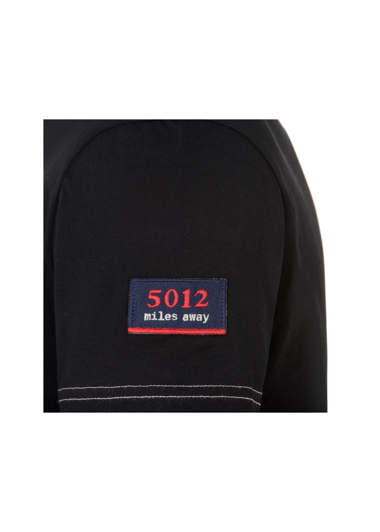 T-shirt męski TSHMT-0041-99(W21)-05