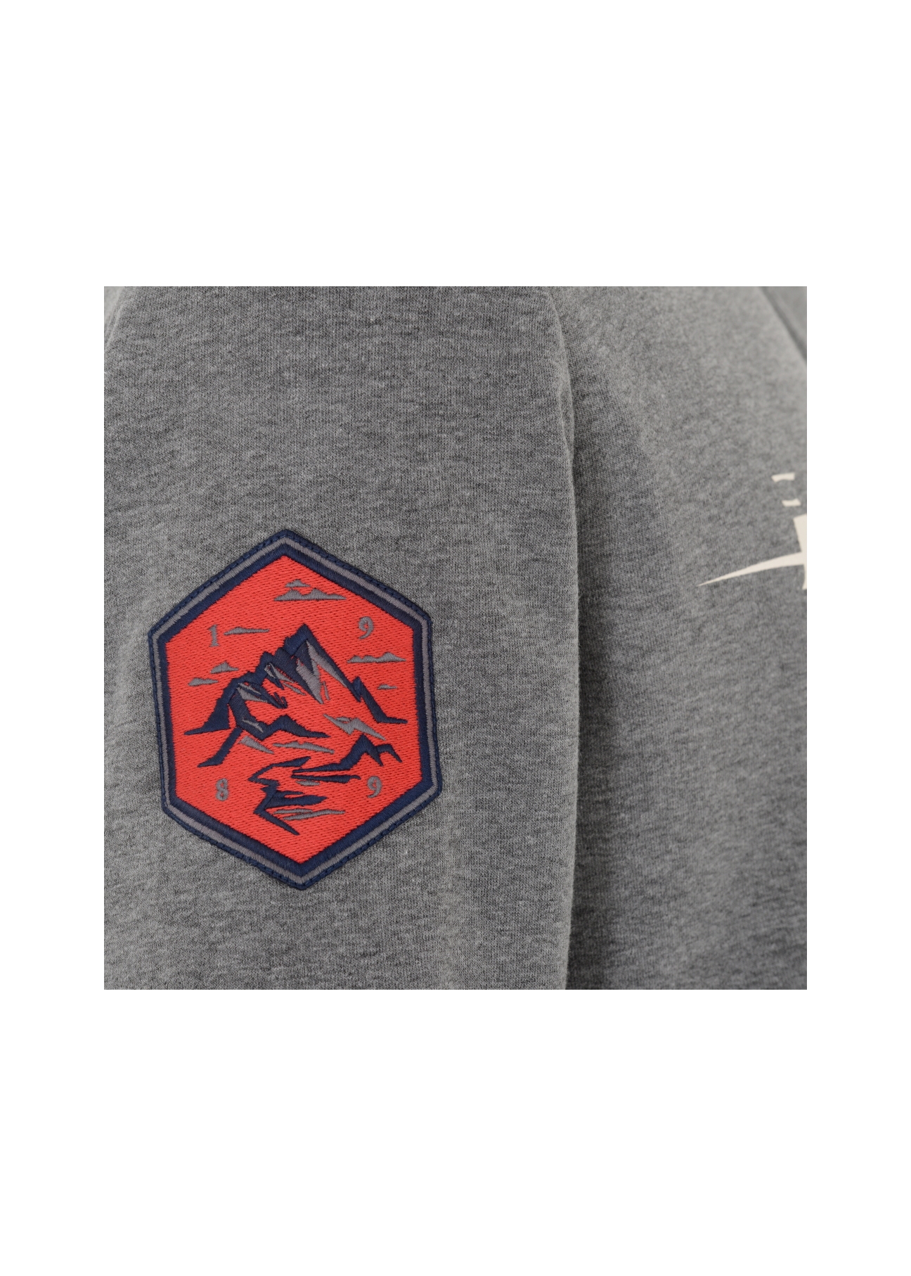 Bluza męska BLZMT-0029-91(W21)-06