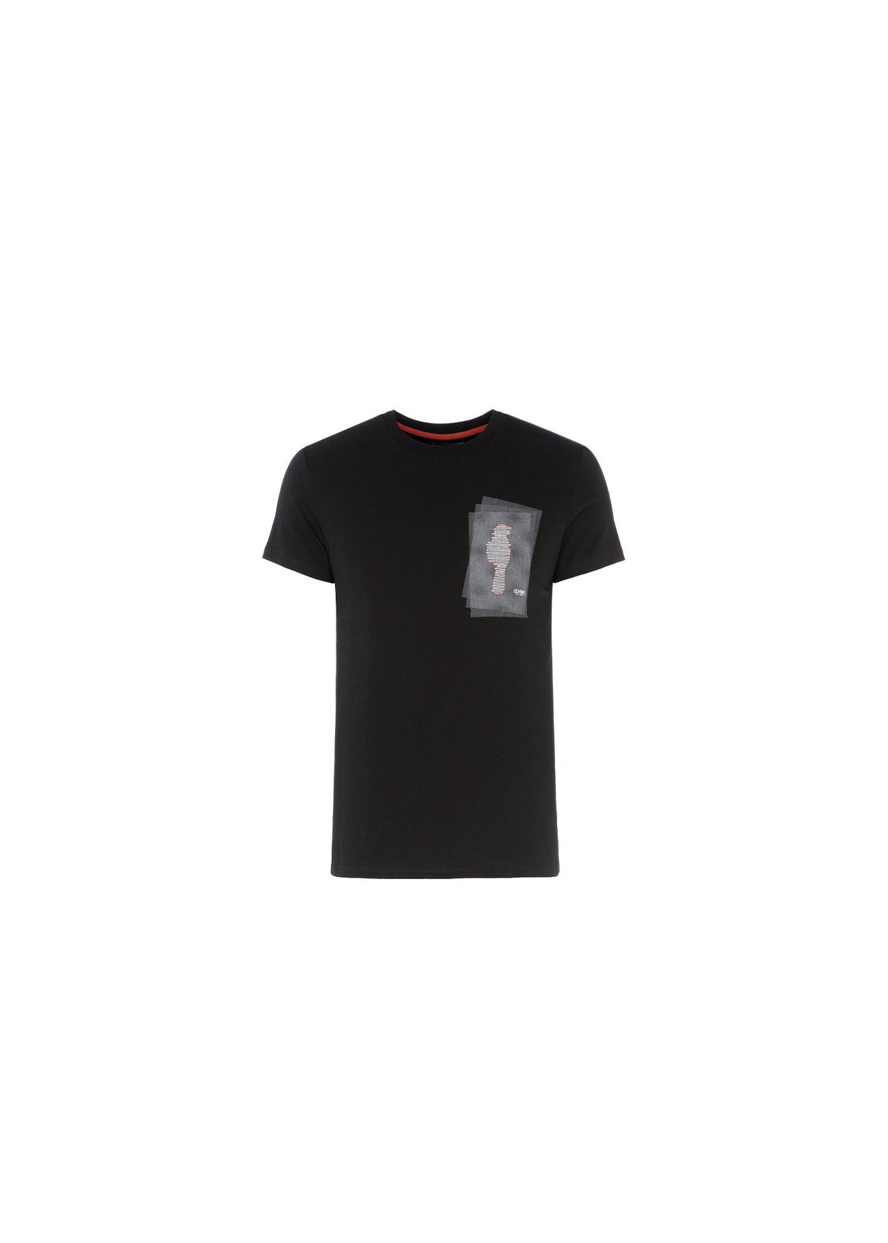 T-shirt męski TSHMT-0030-99(W20)-01