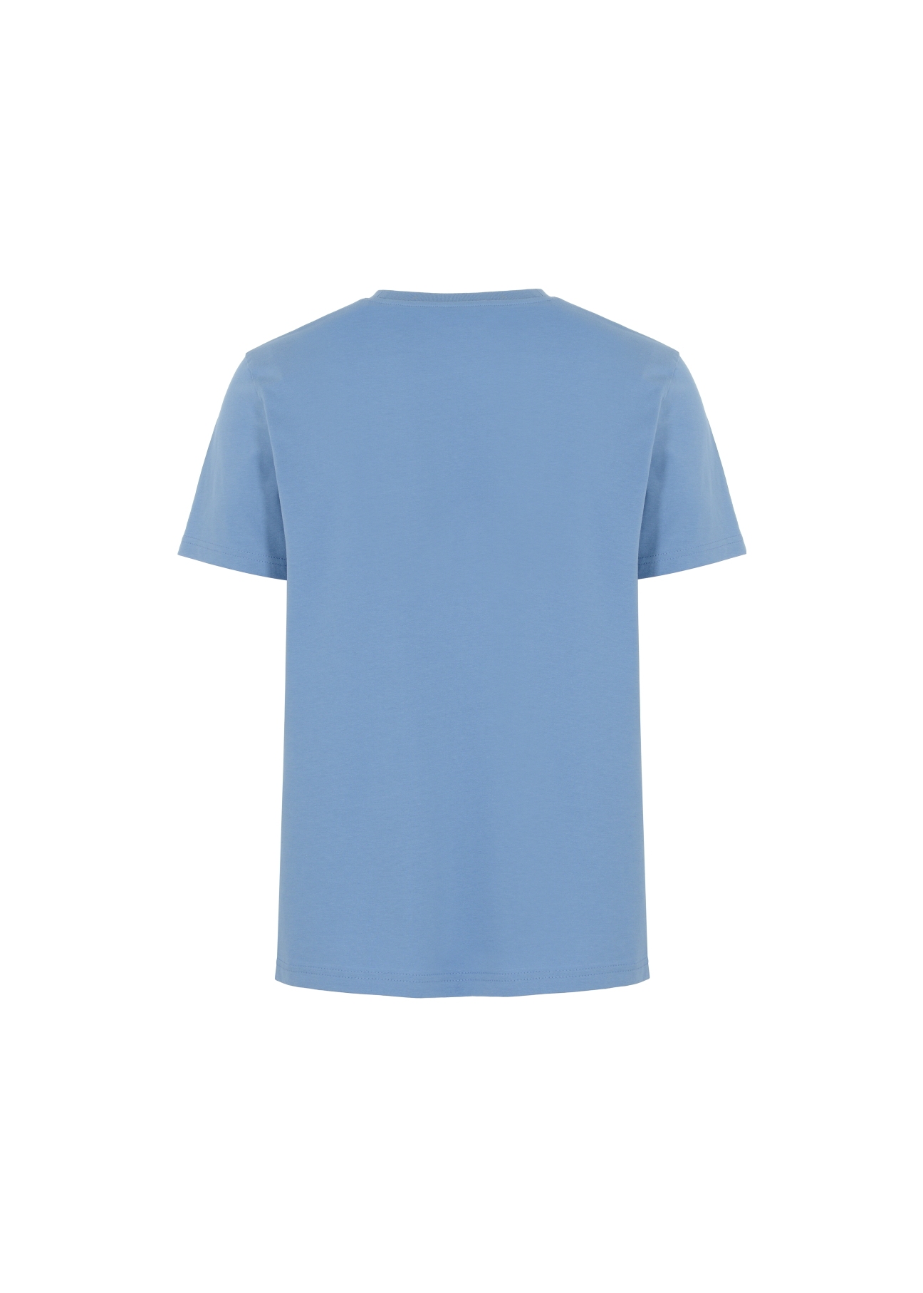 T-shirt męski TSHMT-0065-61(Z21)-03