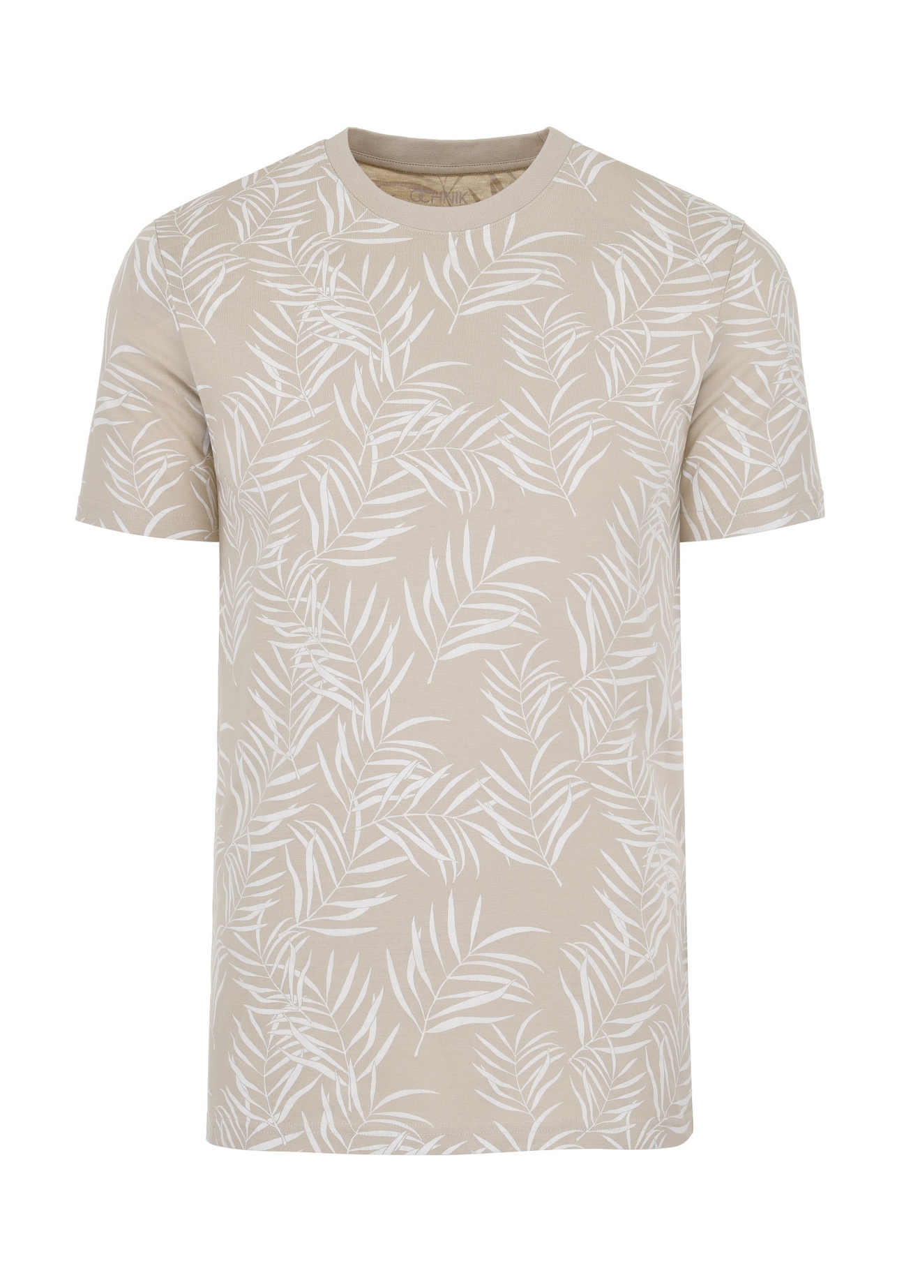 Beżowy T-shirt z printem męski TSHMT-0103-81(W24)-03