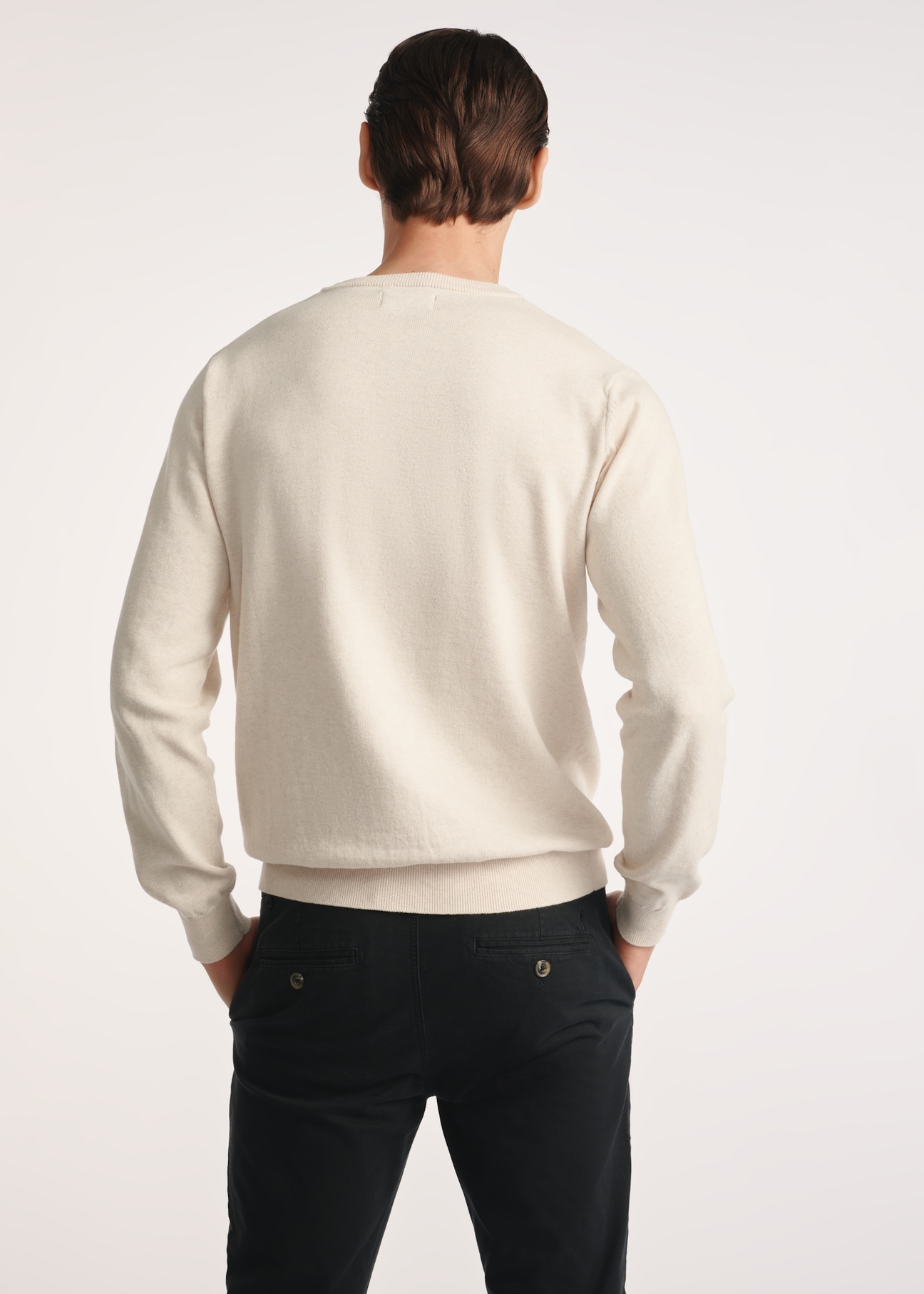 Beżowy bawełniany sweter męski SWEMT-0114A-1A(Z26), widok produktu z tyłu na modelu. Widoczna połowa sylwetki.