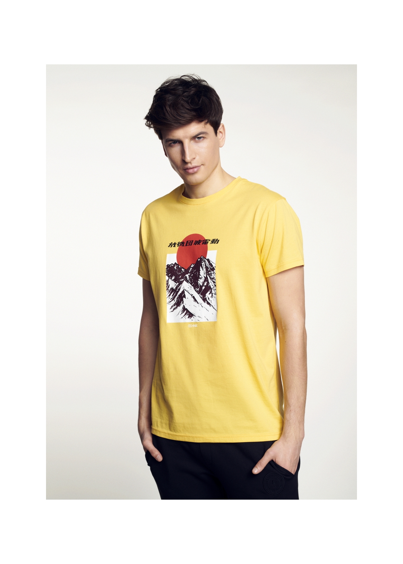 T-shirt męski TSHMT-0057-21(W21)-01