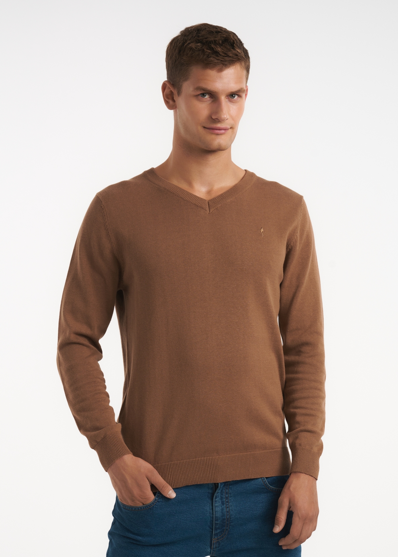 Sweter męski SWEMT-0081-24(Z22)-01