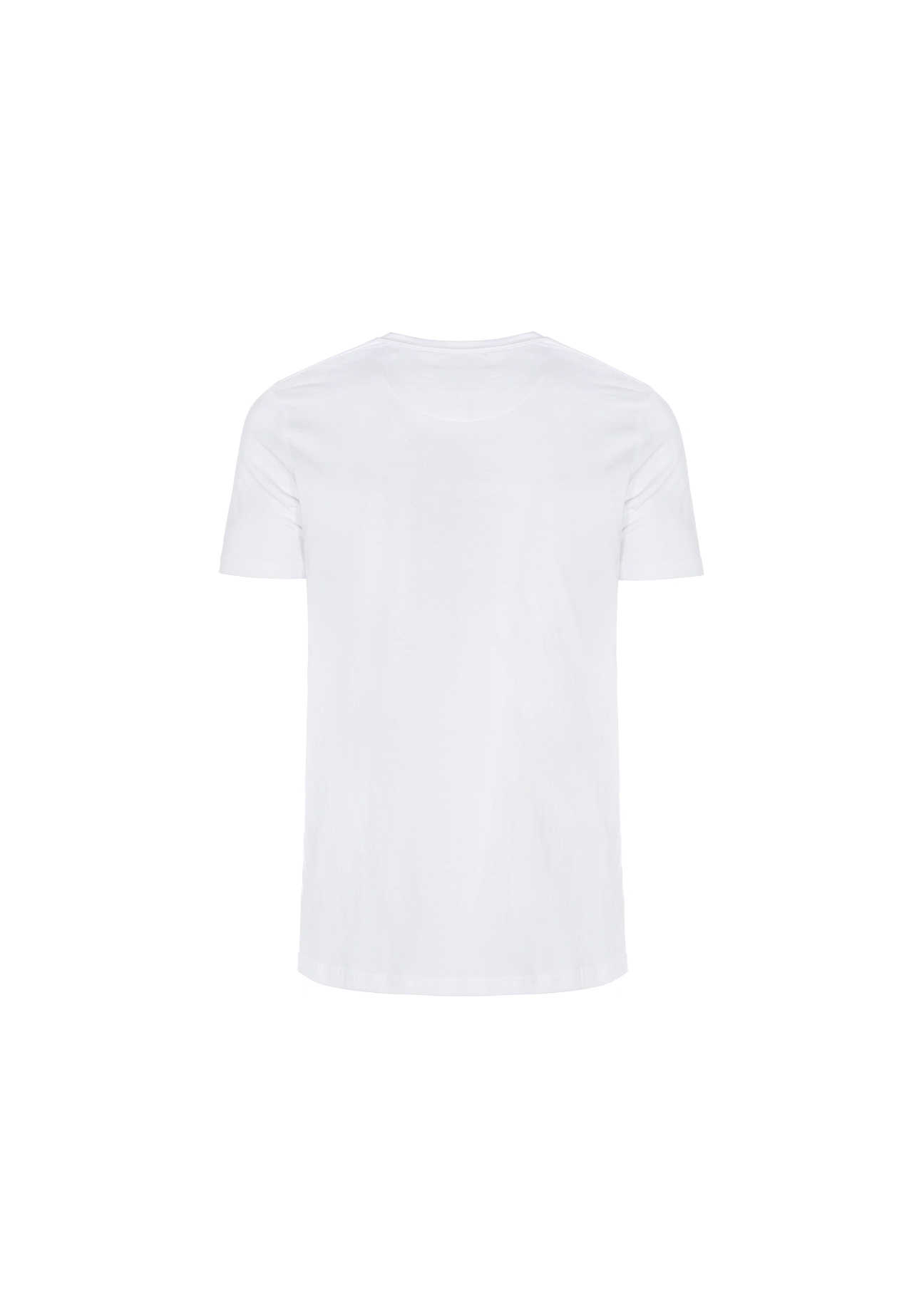 T-shirt męski TSHMT-0016-11(Z19)-02