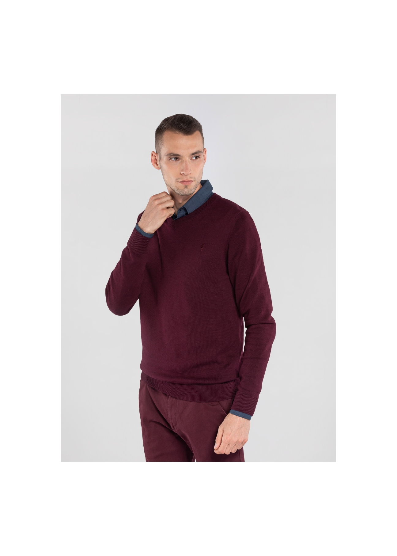 Sweter męski SWEMT-0041-49(Z20)-02