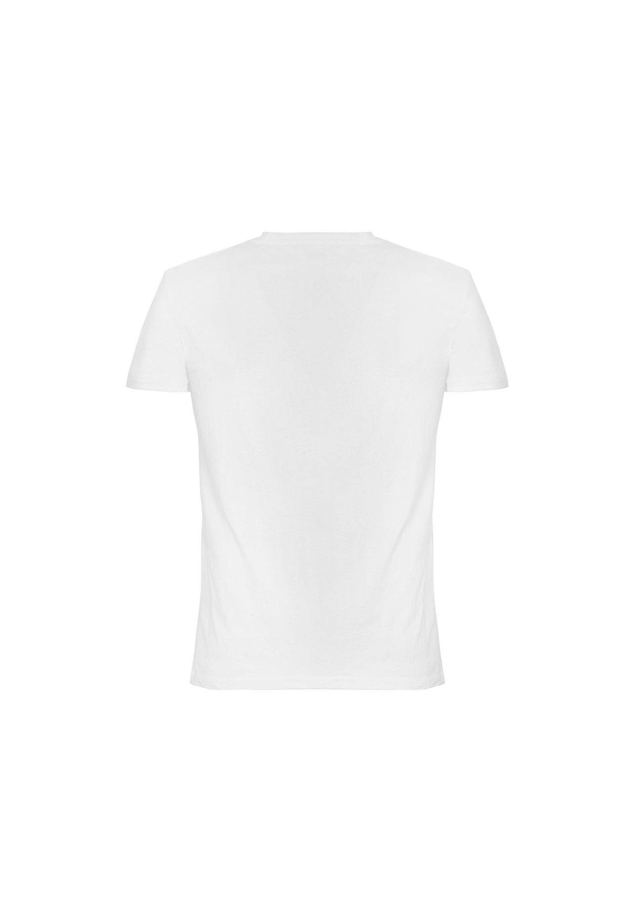 T-shirt męski TSHMT-0026-11(W20)-02