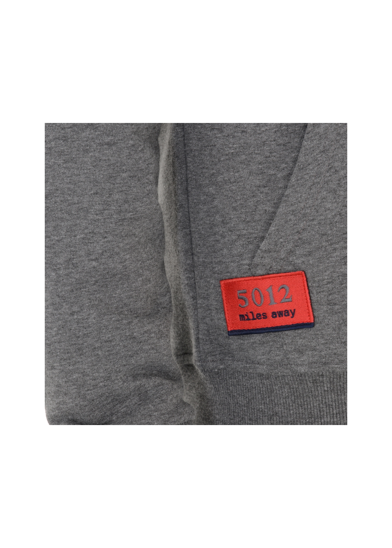 Bluza męska BLZMT-0029-91(W21)-05