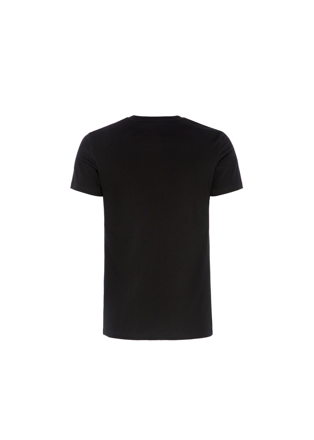 T-shirt męski TSHMT-0030-99(W20)-02
