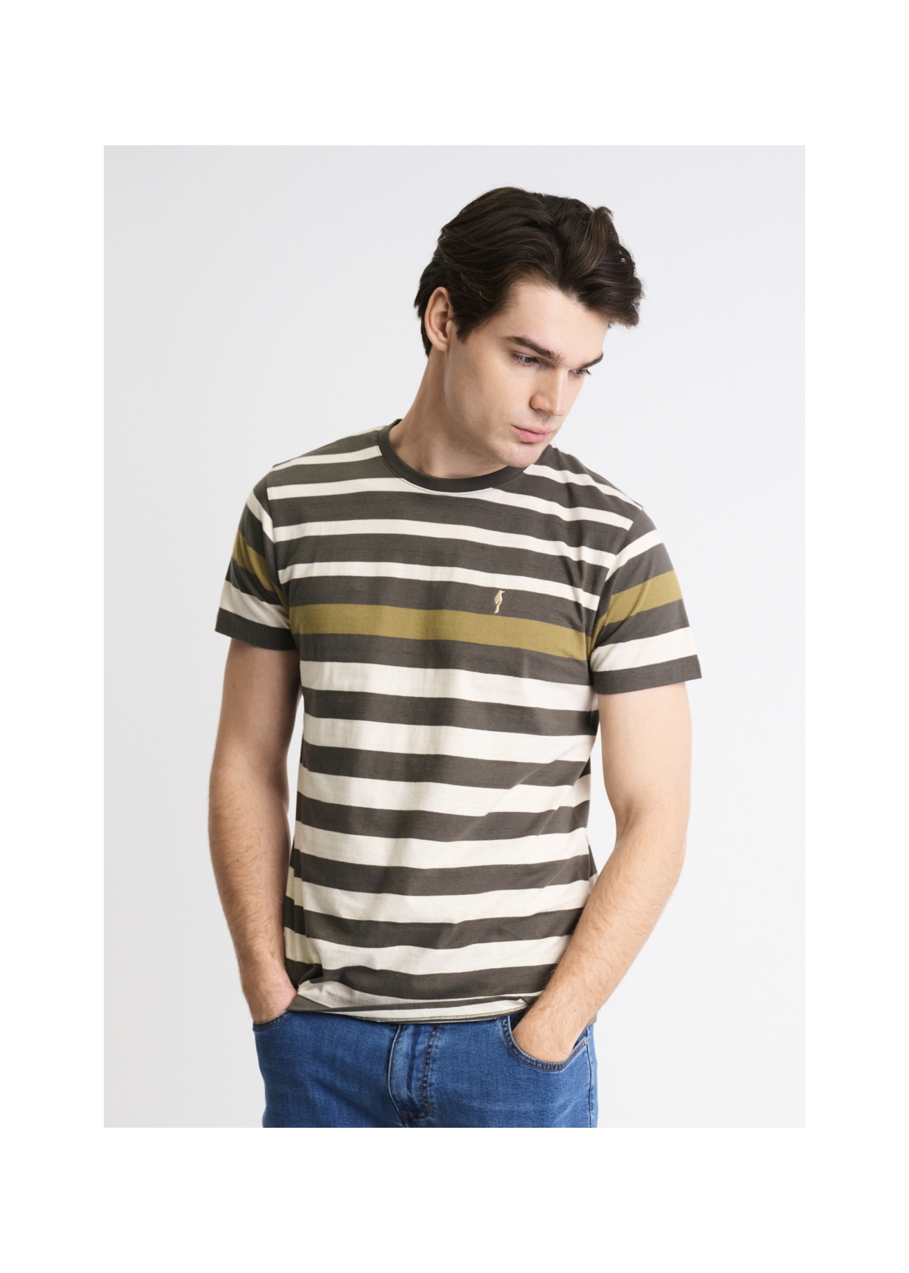 T-shirt męski TSHMT-0070-55(W22)-01