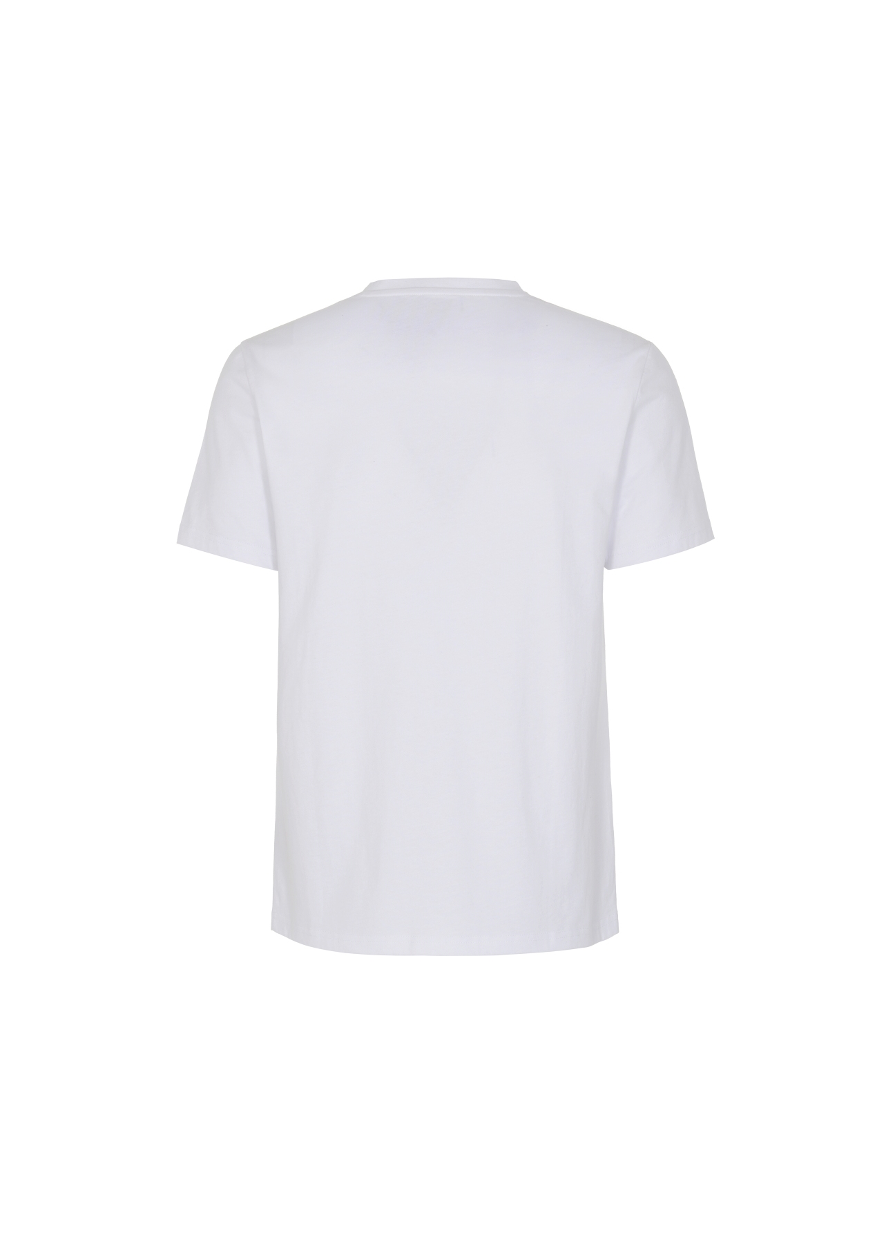 T-shirt męski TSHMT-0073-11(W22)-04