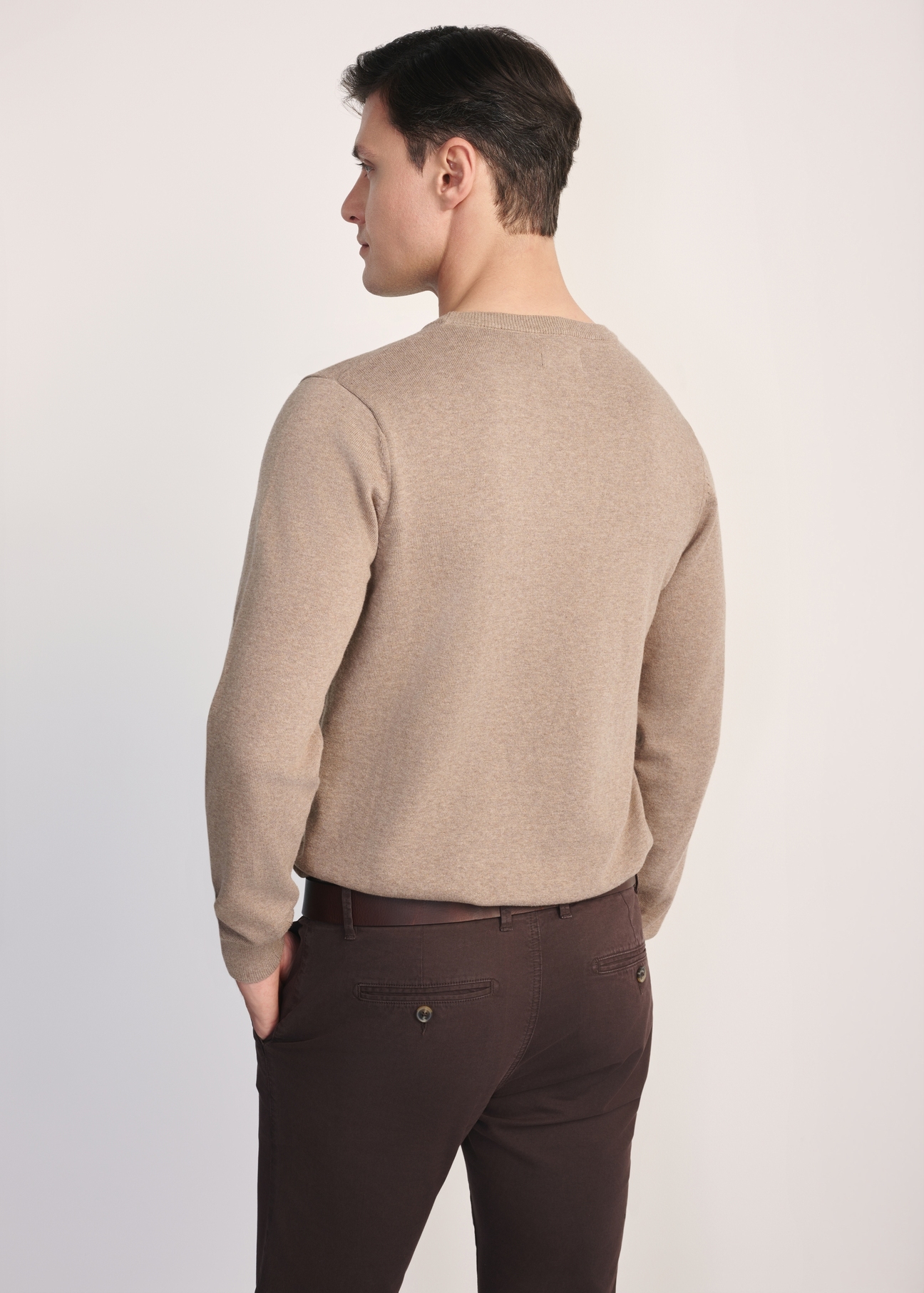 Camelowy bawełniany sweter męski SWEMT-0114A-24(Z25), produkt widoczny od tyłu na modelu, widoczne pół sylwetki.