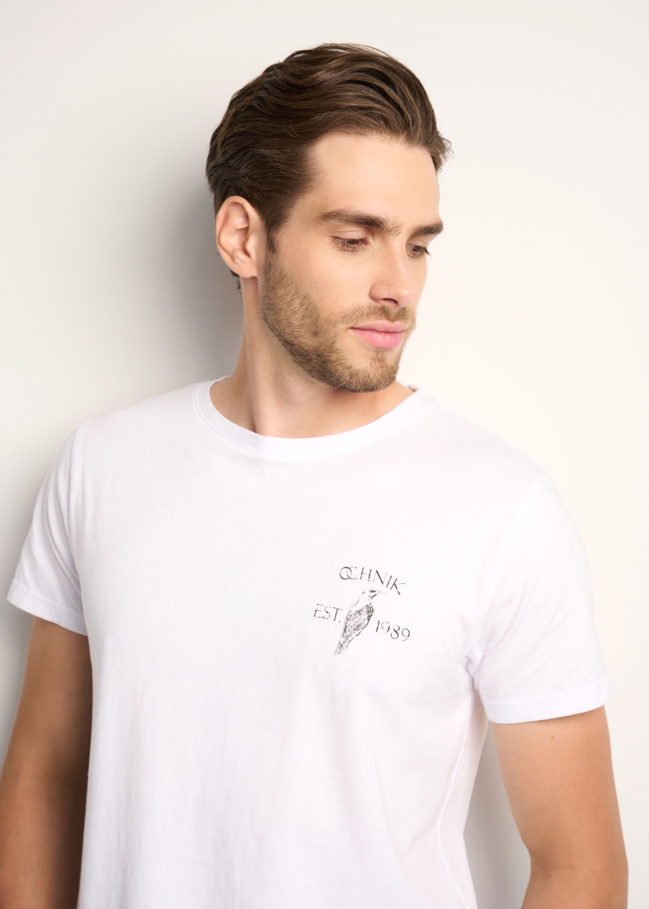 T-shirt męski TSHMT-0080-12(Z22)-02