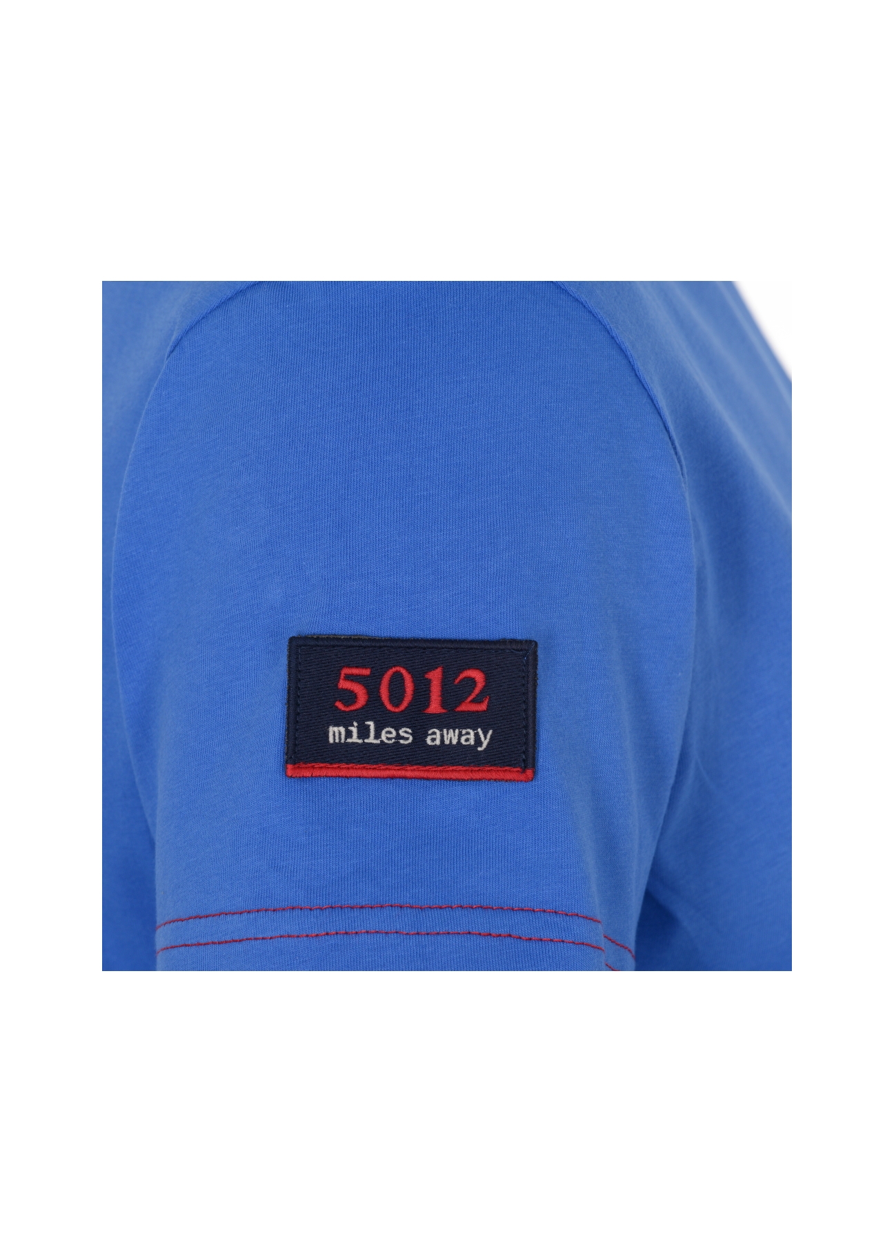 T-shirt męski TSHMT-0041-61(W21)-05
