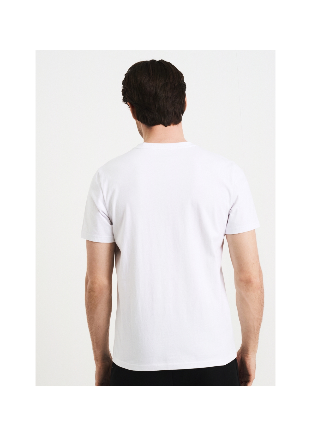 T-shirt męski TSHMT-0073-11(W22)-02