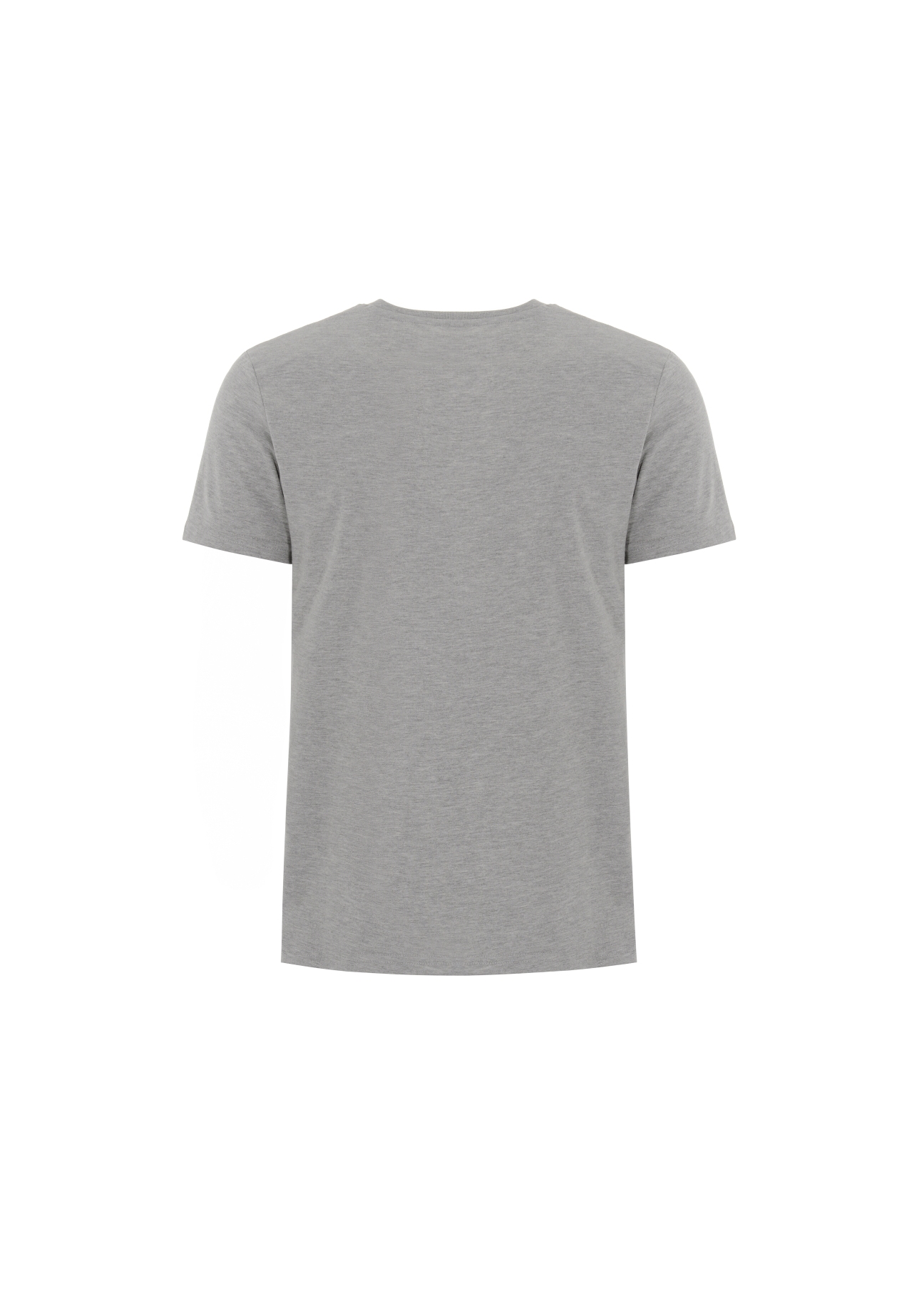 T-shirt męski TSHMT-0065-91(Z21)-02