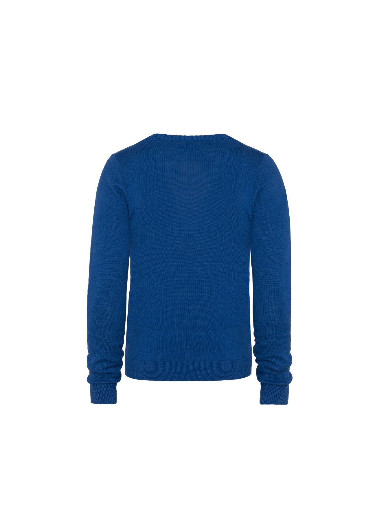 Sweter męski SWEMT-0081-69(W21)-02