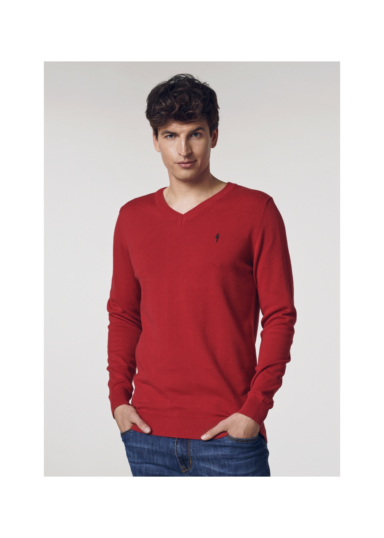 Sweter męski SWEMT-0081-42(W21)-01