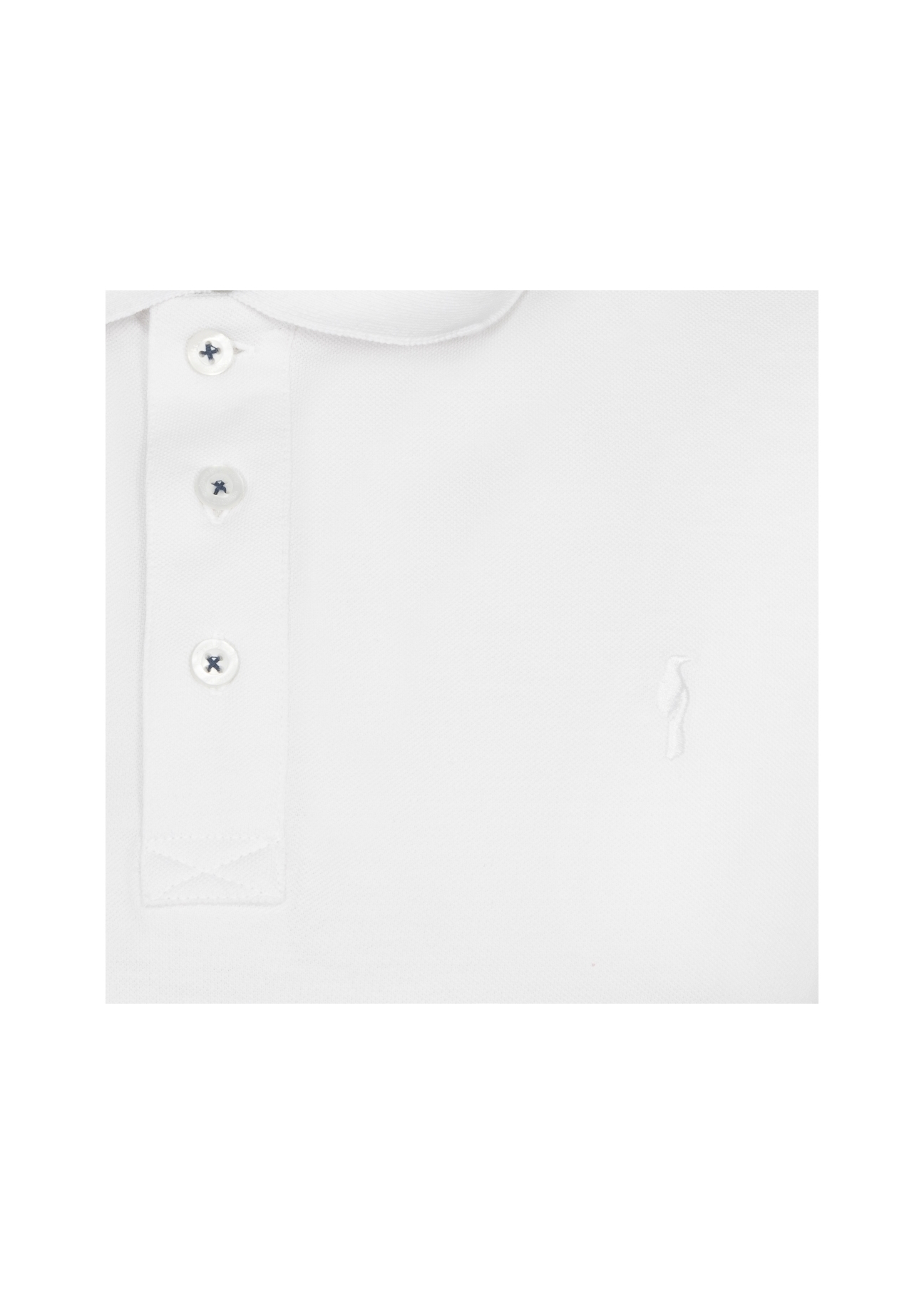 Koszulka polo POLMT-0030-11(W19)-03