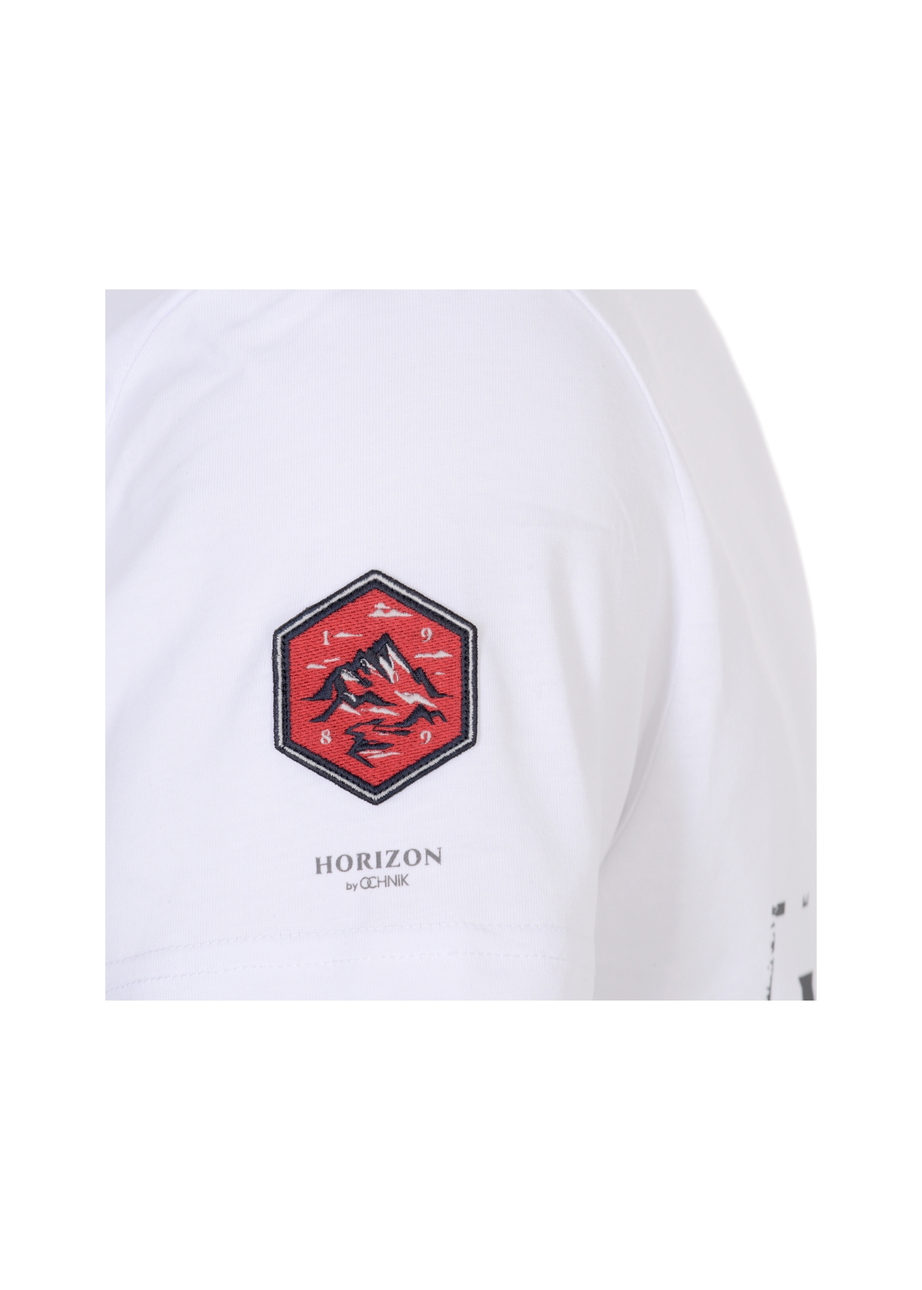 T-shirt męski TSHMT-0056-11(W21)-04