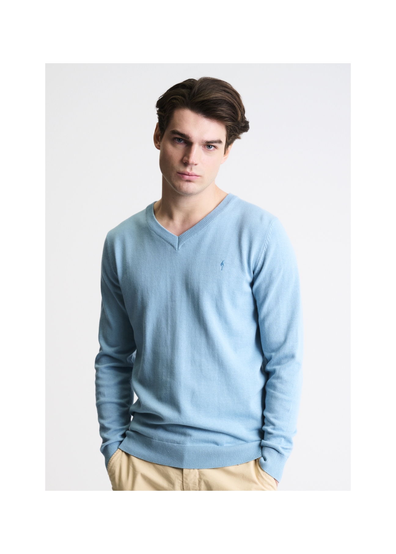 Sweter męski SWEMT-0081-62(W22)-01