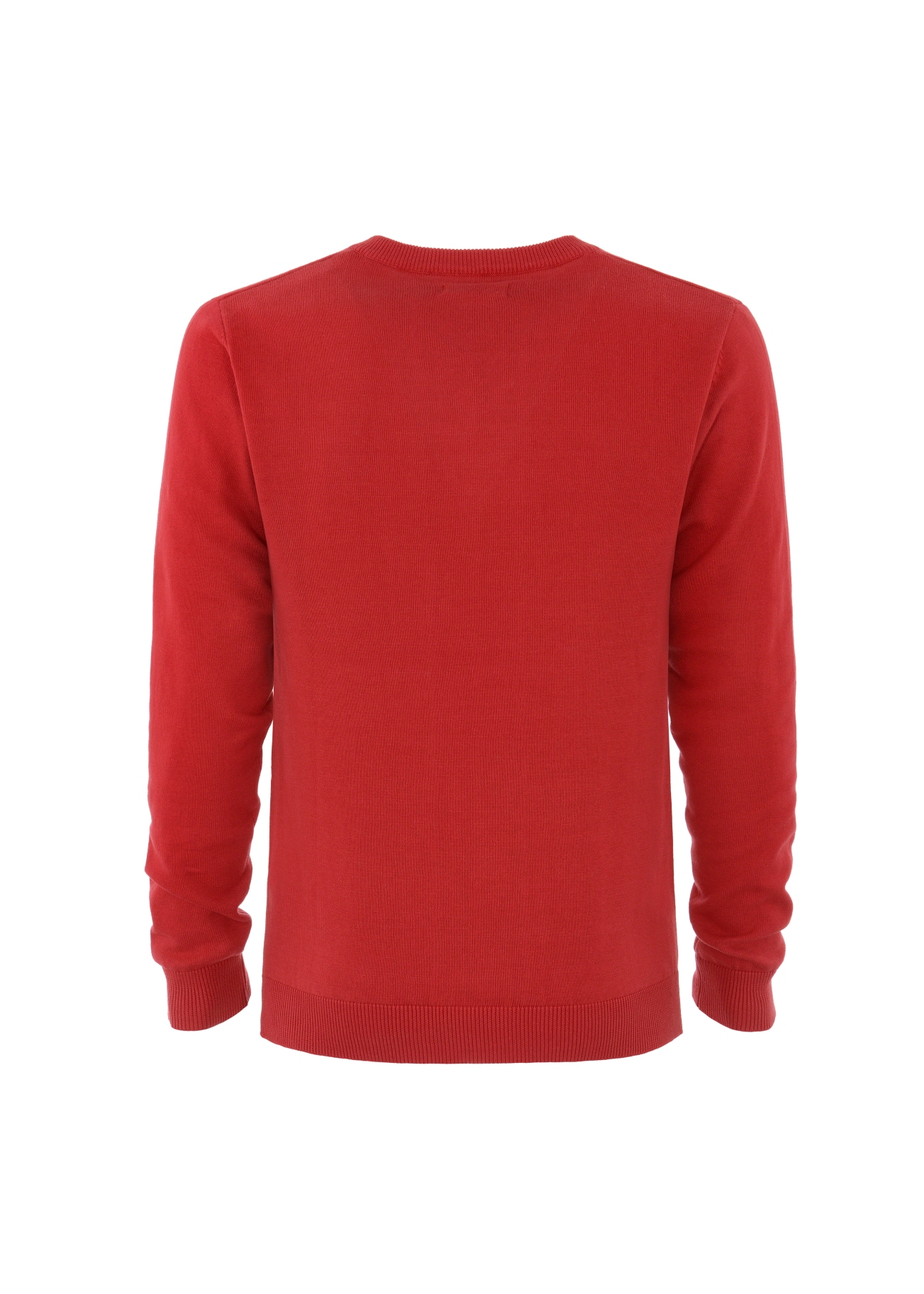 Sweter męski SWEMT-0081-42(W21)-02
