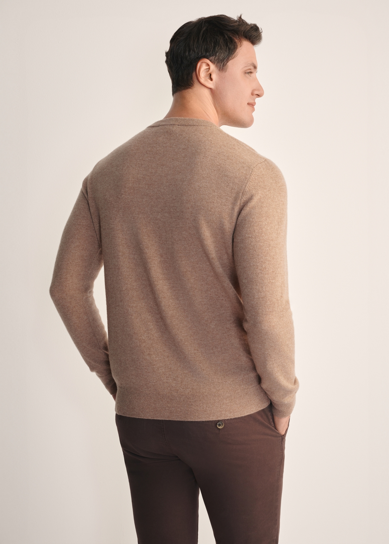 Camelowy sweter męski SWEMT-0186-24(Z25), widok produktu z tyłu na modelu. Widoczna połowa sylwetki.