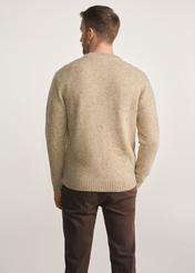 Beżowy sweter męski SWEMT-0173-24(Z25), widok produktu z tyłu na modelu, widoczne pół sylwetki.