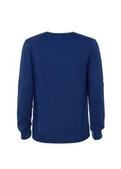 Sweter męski SWEMT-0068-61(W19)-02