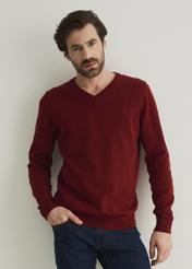 Sweter męski SWEMT-0081-49(W22)