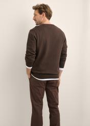 Ciemnobrązowy sweter męski z logo SWEMT-0159A-1I(Z26), widok produktu od tyłu na modelu. Widoczna połowa sylwetki.