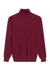 Bordowy sweter męski z golfem SWEMT-0095B-49(Z25), widok produktu od przodu na białym tle.