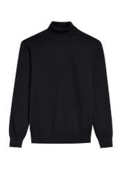 Czarny sweter męski z golfem SWEMT-0095B-99(Z25), widok produktu z przodu na białym tle.