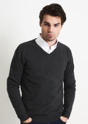Sweter męski SWEMT-0081-95(W22)-01