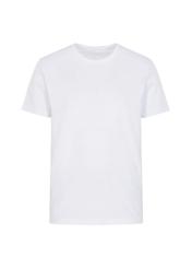 T-shirt męski TSHMT-0065-11(Z21)-02