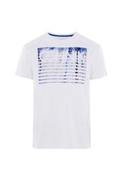 T-shirt męski TSHMT-0028-42(W20)