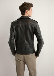 Skórzana kurtka męska ramoneska KURMS-0395-99(W26) - widok produktu z tyłu, na modelu, na jasnym tle. Widoczna cała sylwetka.