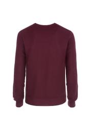 Sweter męski SWEMT-0075-49(Z19)-02