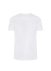 T-shirt męski TSHMT-0016-11(Z19)-02