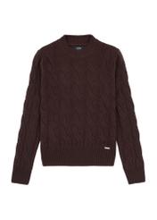 Czekoladowy sweter damski z ozdobnym splotem SWEDT-0210-90(Z25), widok produktu z przodu na białym tle.