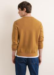 Musztardowy sweter męski SWEMT-0217-2D(Z26), widok produktu z tyłu na modelu. Widoczna połowa sylwetki.